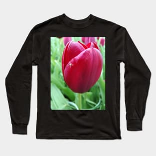 A friendly visit Long Sleeve T-Shirt